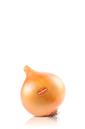 Cebula